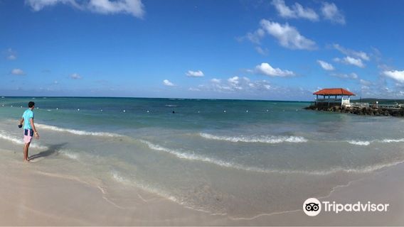 Blue Waters Beach Club