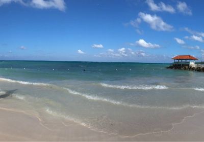 Blue Waters Beach Club