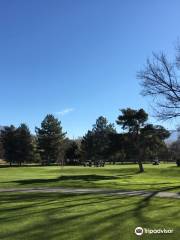 Schneiter's Riverside Golf