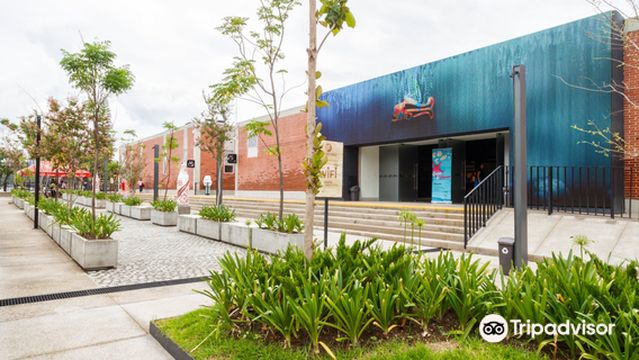 Acuario Michin Guadalajara