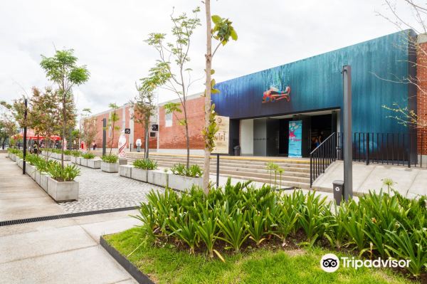 Acuario Michin Guadalajara