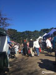 Mornington Racecourse Market