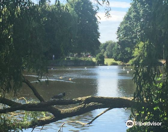 索利哈爾 自由行套票