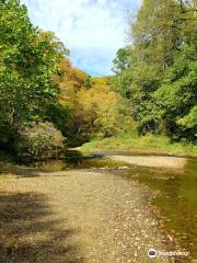 Wildcat Den State Park