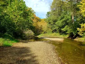 Wildcat Den State Park