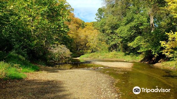 Wildcat Den State Park