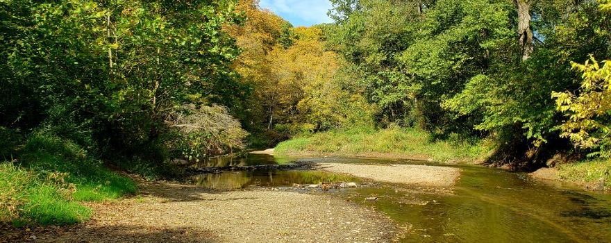 Wildcat Den State Park