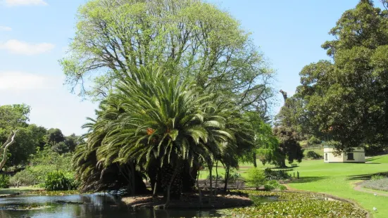 Warrnambool Botanic Gardens