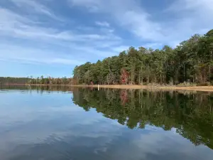 Mistletoe State Park