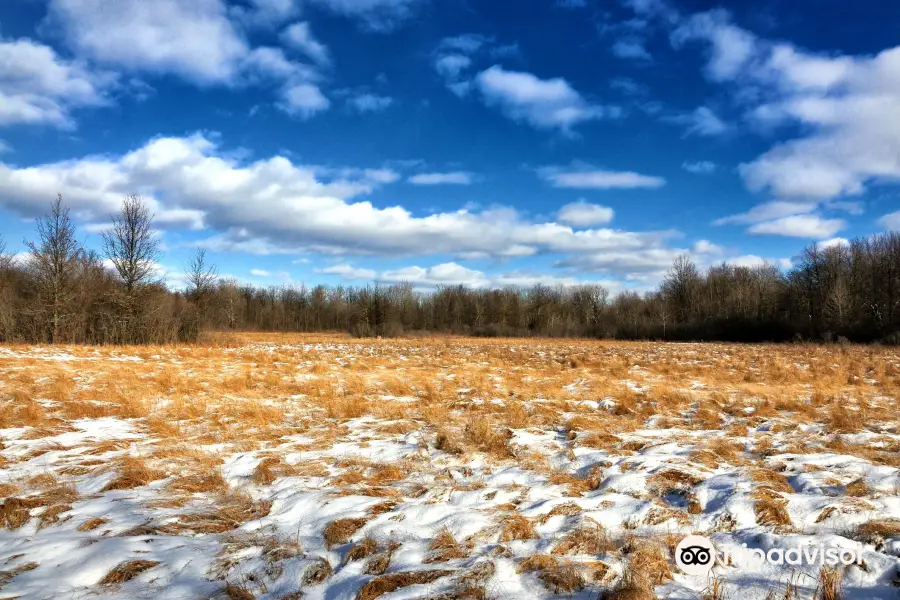 Irwin Prairie State Nature Preserve