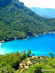 Kabak Koyu