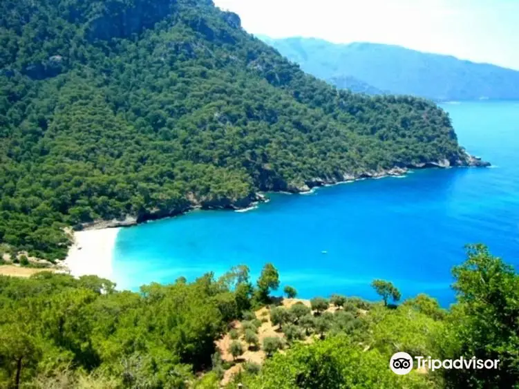 Kabak Koyu