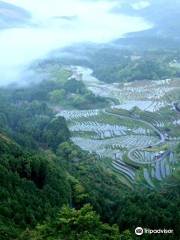 Maruyama Senmai Rice Field