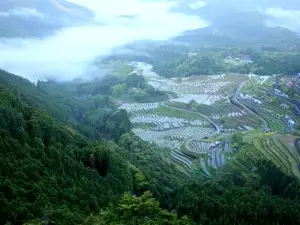 Maruyama Senmai Rice Field