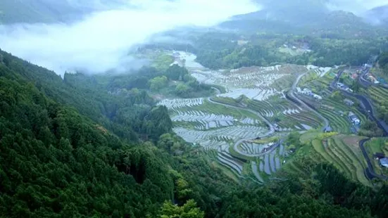 Maruyama Senmai Rice Field