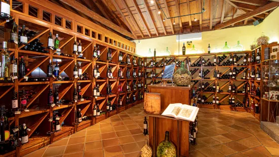 Casa Del Vino de Tenerife