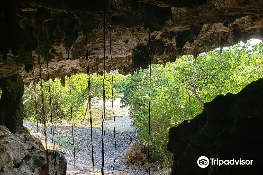 Cayman Brac Caves