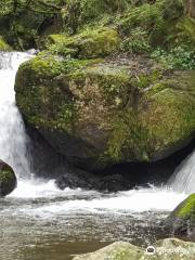 Horse Shoe Falls