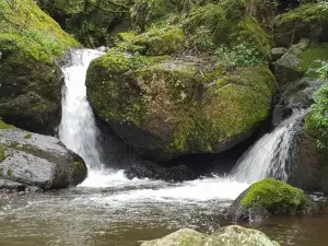 Horse Shoe Falls