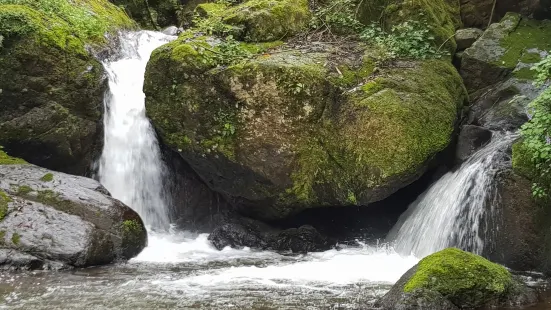 Horse Shoe Falls