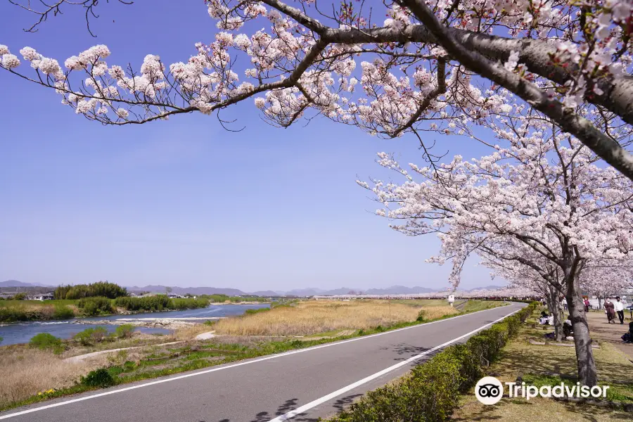 Ono Sakura Dzutsumi Corridor