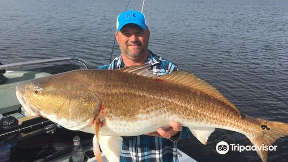 Big Dog Fishing Charters
