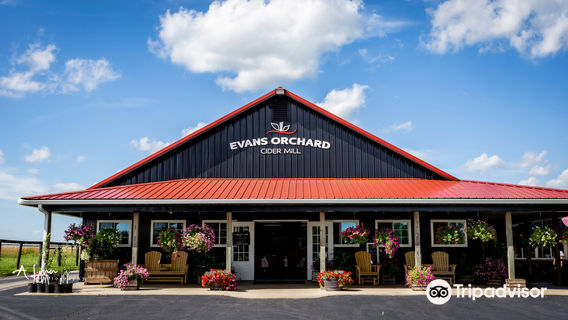 Evans Orchard and Cider Mill