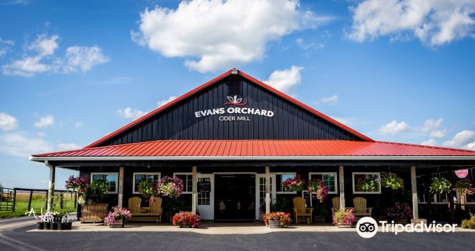 Evans Orchard and Cider Mill