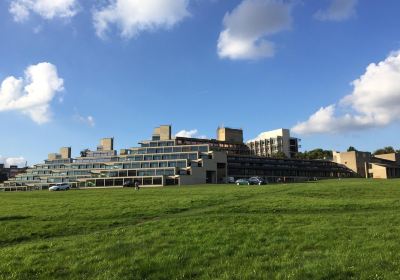 University of East Anglia