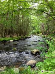 Mashamoquet Brook State Park