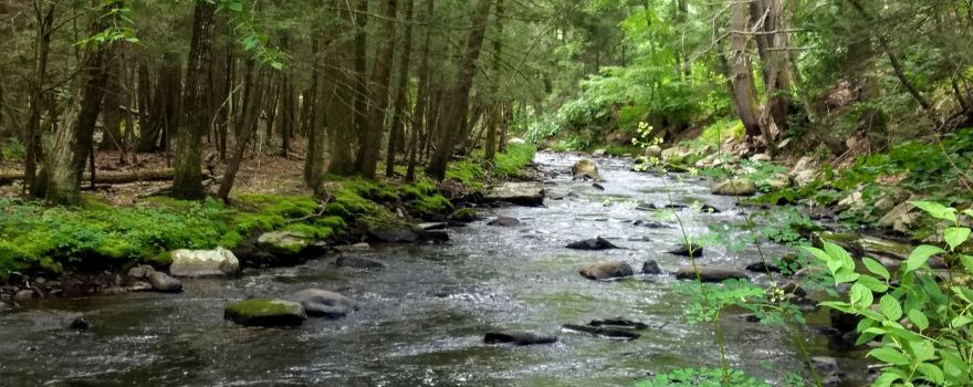 Mashamoquet Brook State Park