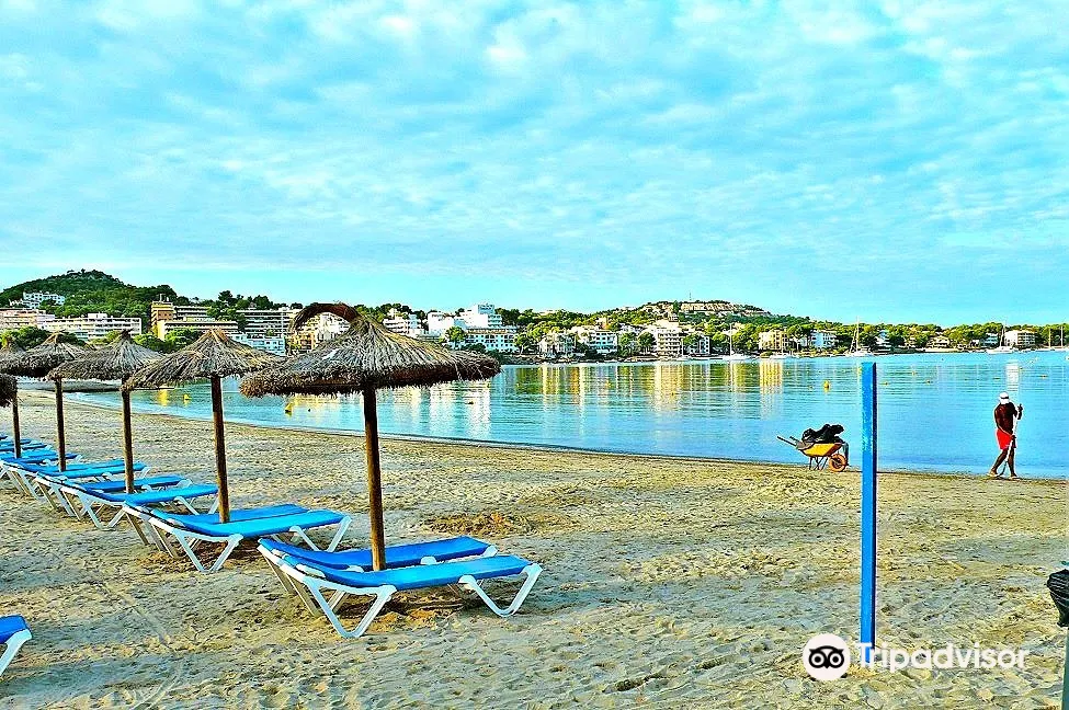 Playa Santa Ponca