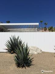 Palm Springs Mod Squad (Architecture Tours)