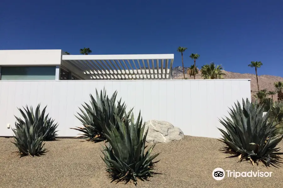 Palm Springs Mod Squad (Architecture Tours)