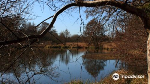 Wildgrounds Nature Reserve