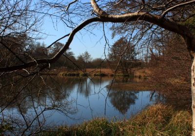 Wildgrounds Nature Reserve