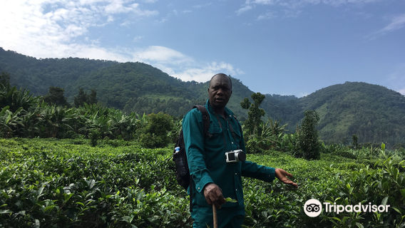 Batwa Experience and Batwa Craft Banda