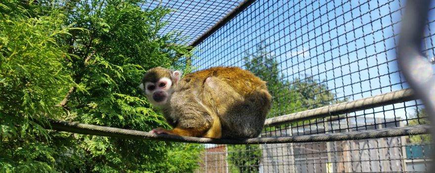 Tierpark Kruzen