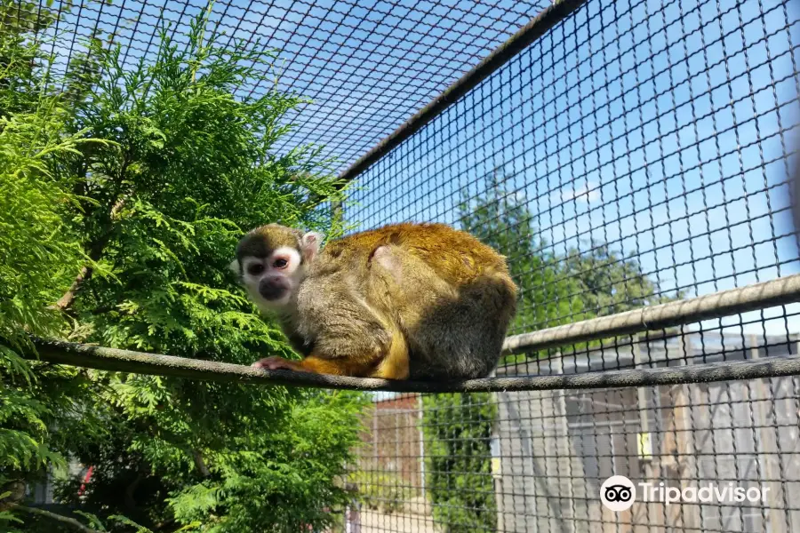 クリュツェン動物園