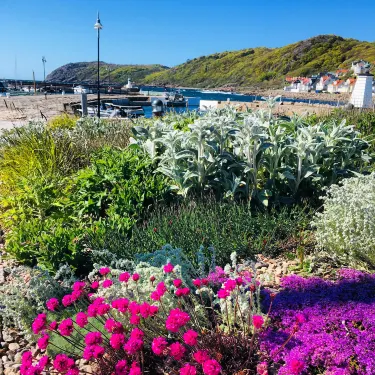 Hoganas Municipality