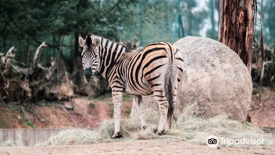 Zoo Santo Inacio