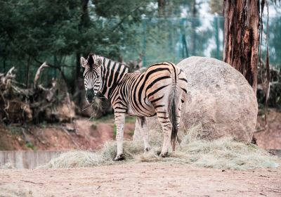 Zoo Santo Inacio