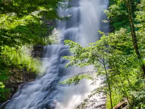 Pratt's Falls Park