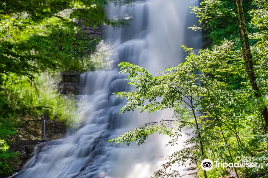 Pratts Falls Park