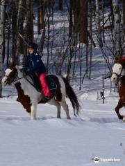 Equitation Jacques Robidas