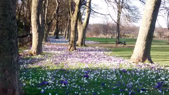 Nuns Moor Park