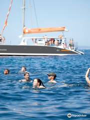 Attraction Catamarans