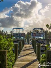 Jupiter Dive Center