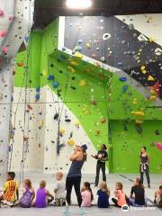 Aspire Climbing Milton