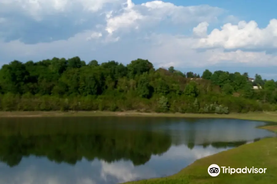 Lago della Spina